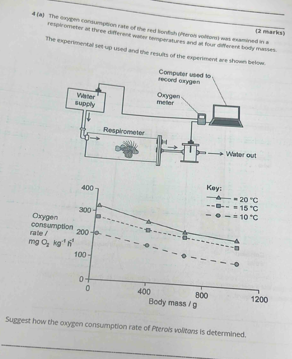 4 (a) The oxygen consumption rate of the red lionfish (Pterois volitans) was examined in a
(2 marks)
respirometer at three different water temperatures and at four different body masses.
The experimental set-up used and the results of the experiment are shown belo
Suggest how the oxygen consumption rate of Pterois volitans is determined.