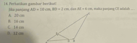 Perhatikan gambar berikut!
Jika panjang AD=10cm, BD=2cm , dan AE=6cm , maka panjang CE adalah ... .
A. 20 cm
B. 16 cm
C. 14 cm
D. 12 cm