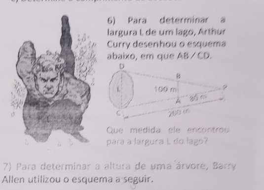 Para determinar a 
largura L de um lago, Arthur 
Curry desenhou o esquema 
abaixo, em que AB / CD. 
Que medida ele encontrou 
para a largura L do lago? 
7) Para determinar a altura de uma árvore, Barry 
Allen utilizou o esquema a seguir.