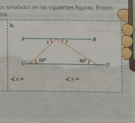 los señalados en las siguientes figuras, Prolon-
tos.
∠ x=
∠ y=