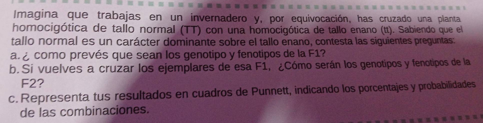 Imagina que trabajas en un invernadero y, por equivocación, has cruzado una planta 
homocigótica de tallo normal (TT) con una homocigótica de tallo enano (tt). Sabiendo que el 
tallo normal es un carácter dominante sobre el tallo enano, contesta las siguientes preguntas: 
ar como prevés que sean los genotipo y fenotipos de la F1? 
b.Si vuelves a cruzar los ejemplares de esa F1, ¿Cómo serán los genotipos y fenotipos de la
F2? 
c. Representa tus resultados en cuadros de Punnett, indicando los porcentajes y probabilidades 
de las combinaciones.