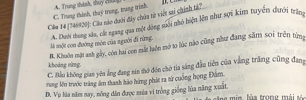 A. Trung thành, thuy chúng
C. Trung thành, thuỷ trung, trung trinh.
Câu 14 [746920]: Câu nào dưới đây chứa từ viết sai chính tả?
A. Dưới thung sâu, cắt ngang qua một dòng suối nhỏ hiện lên như sợi kim tuyến dưới trăng
là một con đường mòn của người đi rừng.
B. Khuôn mặt anh gầy, còn hai con mắt luôn mở to lúc nào cũng như đang săm soi trên từng
khoảng rừng.
C. Bầu không gian yên ắng đang nín thở đón chờ tia sáng đầu tiên của vầng trăng cũng đang
rung lên trước tràng âm thanh hào hứng phát ra từ cuống họng Đắm.
D. Vụ lúa năm nay, nông dân được mùa vì trồng giống lúa năng xuất.
să ng m in, lùa trong mái tóc