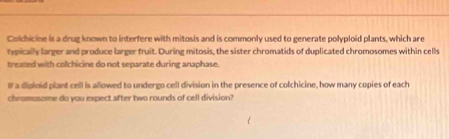 Colchicine is a drug known to interfere with mitosis and is commonly used to generate polyploid plants, which are 
typically larger and produce larger fruit. During mitosis, the sister chromatids of duplicated chromosomes within cells 
treated with colchicine do not separate during anaphase. 
I a dioloid plant cell is allowed to undergo cell division in the presence of colchicine, how many copies of each 
chromosome do you expect after two rounds of cell division?