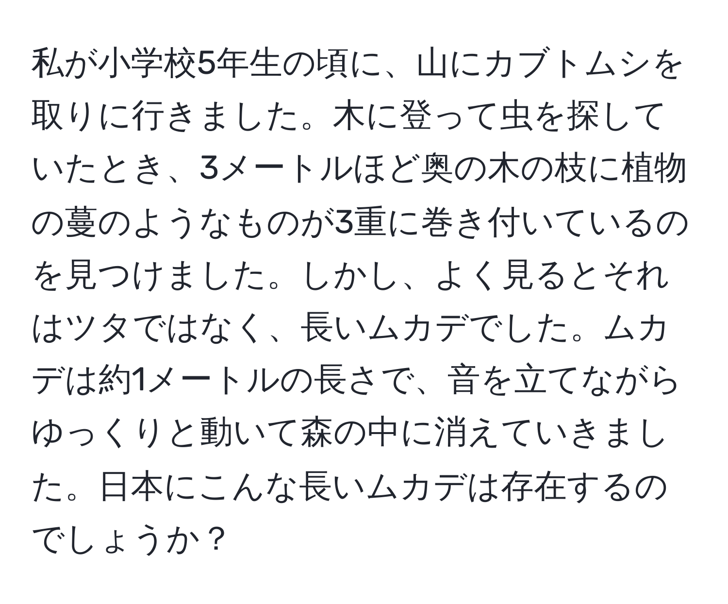 私が小学校5年生の頃に、山にカブトムシを取りに行きました。木に登って虫を探していたとき、3メートルほど奥の木の枝に植物の蔓のようなものが3重に巻き付いているのを見つけました。しかし、よく見るとそれはツタではなく、長いムカデでした。ムカデは約1メートルの長さで、音を立てながらゆっくりと動いて森の中に消えていきました。日本にこんな長いムカデは存在するのでしょうか？