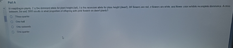 In snapdragon plants. T is the dominant altete for plant height (tall), I is the recessive attele for plan height (dwarf), RR flowers are rod, rr flowers are white, and flower color exhibits incomplete dominance. A cross
between. Tir and TRR resulls in what proportion of offspring with pink flowers on dwarf plants?
Three quarlor
One hall
One vineenth
One-quarter