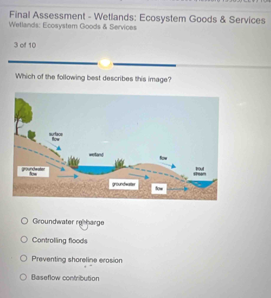 Final Assessment - Wetlands: Ecosystem Goods & Services
Wetlands: Ecosystem Goods & Services
3 of 10
Which of the following best describes this image?
Groundwater re harge
Controlling floods
Preventing shoreline erosion
Baseflow contribution