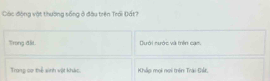 Các động vật thường sống ở đâu trên Trái Đất?
Trong đất. Dưới nước và trên cạn.
Trong cơ thể sinh vật khác. Khắp mọi nơi trên Trái Đất.