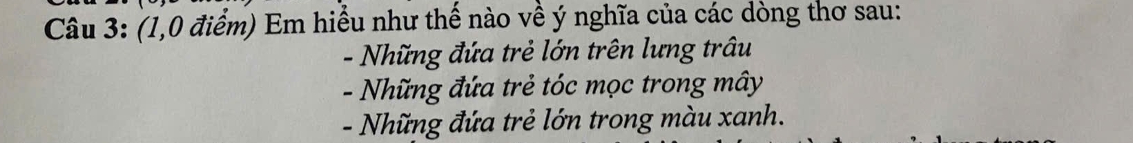 (1,0 điểm) Em hiều như thế nào về ý nghĩa của các dòng thơ sau: 
- Những đứa trẻ lớn trên lưng trâu 
- Những đứa trẻ tóc mọc trong mây 
- Những đứa trẻ lớn trong màu xanh.