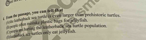 From the passage, you can tell that
(A)the leatherback sea turtle is even larger than prehistoric turtles.
(B)people often mistake plastic bags for jellyfish.
(C) people are hurting the leatherback sea turtle population.
(D)leatherback sea turtles only eat jellyfish.