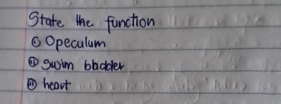 State the function
cOpeculum
①swim bladder
①heart