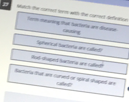 Match the correct term with the correct definition 
Term meaning that bacteria are disease 
causing 
Spherical bacteria are called? 
Rod-shaped bacteria are called? 
Bacteria that are curved or spiral shaped are 
called?