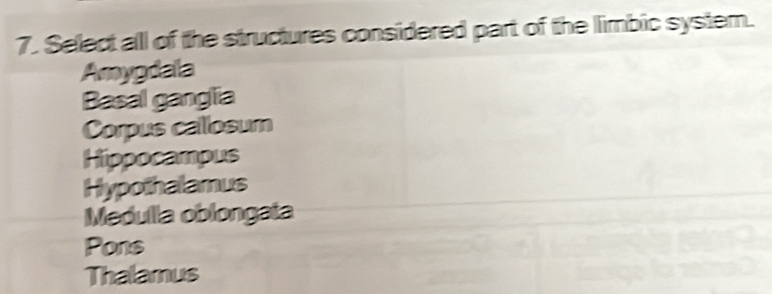 Select all of the structures considered part of the limbic system.
Amygdala
Basal ganglia
Corpus callosum
Hippocampus
Hypothalamus
Medulla oblongata
Pons
Thalamus