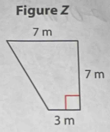 Figure Z