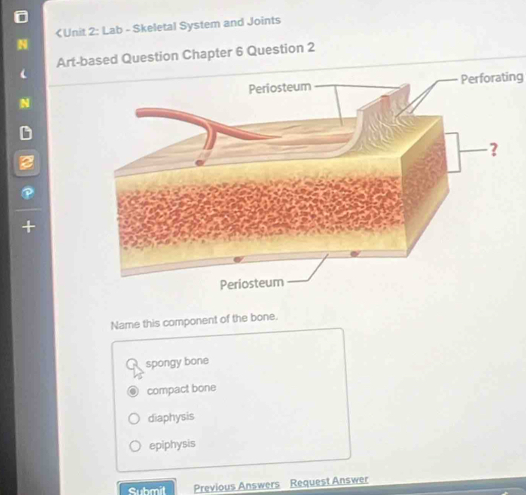 spongy bone
compact bone
diaphysis
epiphysis
Submit Previous Answers Request Answer