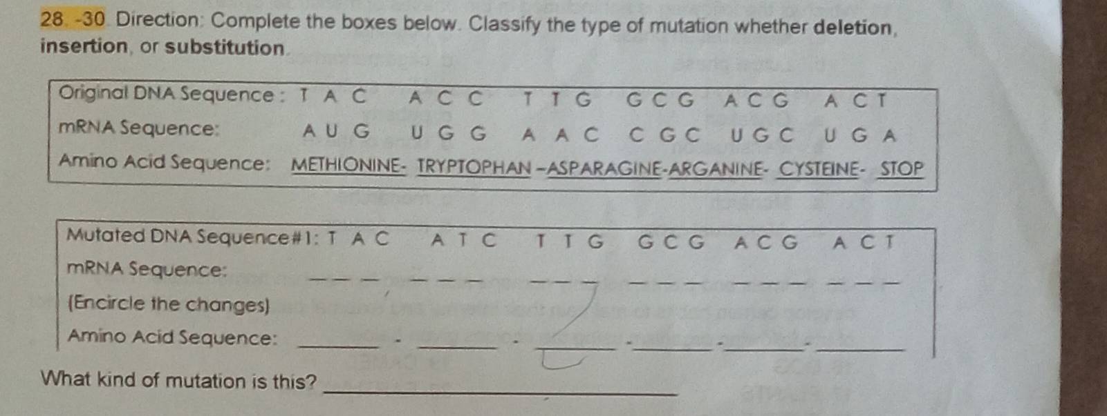 Direction: Complete the boxes below. Classify the type of mutation whether deletion, 
insertion, or substitution 
Original DNA Sequence : T A C A CC 11G G CG A C G AC T 
mRNA Sequence: A ∪ G U G G A A C C G C U G C U G A 
Amino Acid Sequence: METHIONINE- TRYPTOPHAN -ASPARAGINE-ARGANINE- CYSTEINE- STOP 
Mutated DNA Sequence#1: T A C A T C 1 1 G G C G A C G A C T 
_ 
_ 
_ 
_ 
mRNA Sequence: 
(Encircle the changes) 
Amino Acid Sequence: _、 _. _._ ._ 
_ 
_ 
What kind of mutation is this?