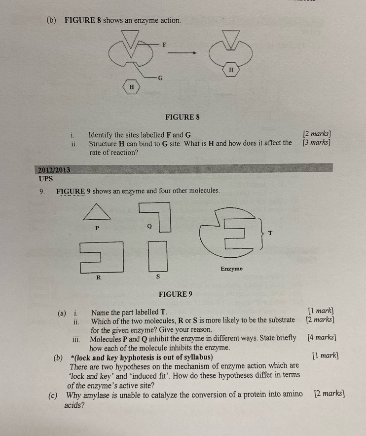 FIGURE 8 shows an enzyme action. 
FIGURE 8 
i. Identify the sites labelled F and G. [2 marks] 
ii. Structure H can bind to G site. What is H and how does it affect the [3 marks] 
rate of reaction? 
2012/2013 
UPS 
9. FIGURE 9 shows an enzyme and four other molecules.
P Q
s
FIGURE 9 
(a) i. Name the part labelled T. [1 mark] 
ii. Which of the two molecules, R or S is more likely to be the substrate [2 marks] 
for the given enzyme? Give your reason. 
iii. Molecules P and Q inhibit the enzyme in different ways. State briefly [4 marks] 
how each of the molecule inhibits the enzyme. 
(b) *(lock and key hyphotesis is out of syllabus) [1 mark] 
There are two hypotheses on the mechanism of enzyme action which are 
‘lock and key’ and ‘induced fit’. How do these hypotheses differ in terms 
of the enzyme’s active site? 
(c) Why amylase is unable to catalyze the conversion of a protein into amino [2 marks] 
acids?