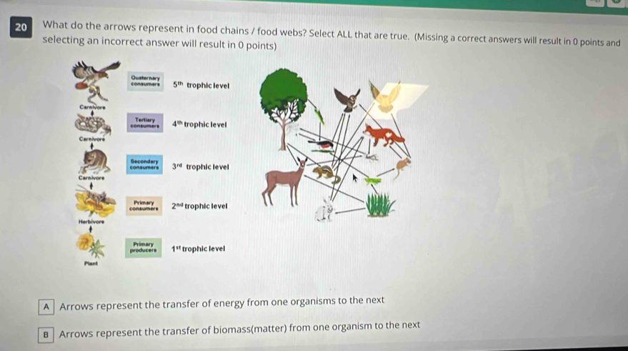 Solved: What do the arrows represent in food chains / food webs? Select ...