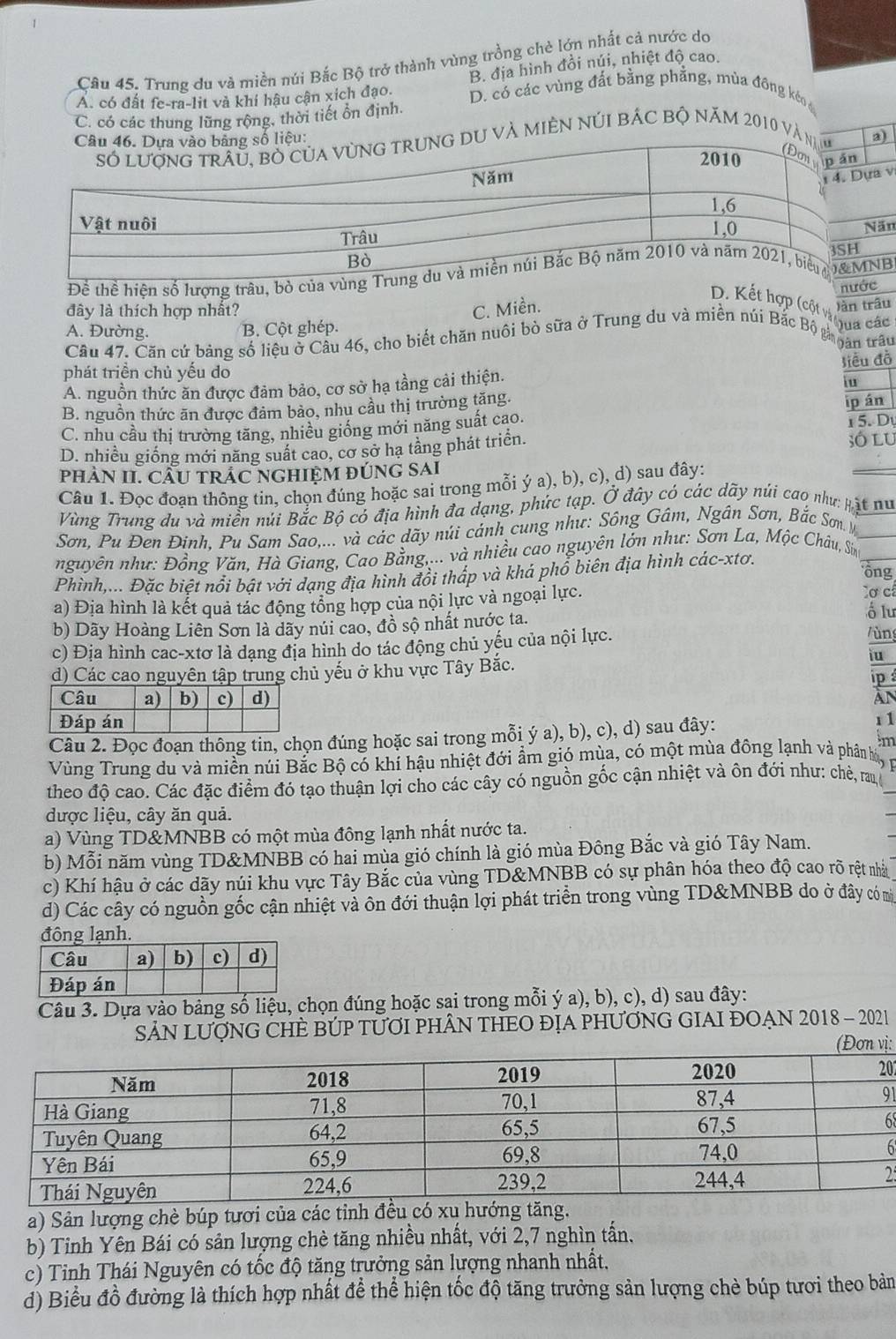 Cầu 45. Trung du và miền núi Bắc Bộ trở thành vùng trồng chè lớn nhất cả nước do
B. địa hình đồi núi, nhiệt độ cao.
A. có đất fe-ra-lit và khí hậu cận xích đạo. D. có các vùng đất bằng phẳng, mùa đông kéo
C. có các thung lũng rộng, thời tiết ổn định.
và miền núi bác bộ năm 2010 Và na)
ựa v
Năn
Để thể hiện số lượng trâu, bò của vùnNB
nước
D. Kết hợp (cột vàqua các
đây là thích hợp nhất? C. Miền. )àn trâu
A. Đường. B. Cột ghép.
Câu 47. Căn cứ bảng số liệu ở Cầu 46, cho biết chăn nuôi bò sữa ở Trung du và miền núi Bắc Bộ ggan r'
Siều đồ
phát triền chủ yếu do
A. nguồn thức ăn được đảm bảo, cơ sở hạ tầng cải thiện.
iu
B. nguồn thức ăn được đảm bảo, nhu cầu thị trường tăng.
C. nhu cầu thị trường tăng, nhiều giống mới năng suất cao. ip án 1 5. Dự
D. nhiều giống mới năng suất cao, cơ sở hạ tầng phát triển. só lu
pHÂN II. CÂU TRÁC NGHIỆM ĐÚNG SAI
Câu 1. Đọc đoạn thông tin, chọn đúng hoặc sai trong mỗi ý a), b), c), d) sau đây:
Vùng Trung du và miền núi Bắc Bộ có địa hình đa dạng, phúc tạp. Ở đây có các dãy núi cao như: mặt nu
Sơn, Pu Đen Đinh, Pu Sam Sao,... và các dãy núi cánh cung như: Sông Gâm, Ngân Sơn, Bắc Sơn y
nguyên như: Đồng Văn, Hà Giang, Cao Bằng,... và nhiều cao nguyên lớn như: Sơn La, Mộc Châu, Sin
ồng
Phình,... Đặc biệt nổi bật với dạng địa hình đổi thấp và khá phổ biên địa hình các-xtơ.
a) Địa hình là kết quả tác động tổng hợp của nội lực và ngoại lực.
ơ cí
ổ lu
b) Dãy Hoàng Liên Sơn là dãy núi cao, đồ sộ nhất nước ta. Vùng
c) Địa hình cac-xtơ là dạng địa hình do tác động chủ yếu của nội lực.
iu
d) Các cao nguyên tập trung chủ yếu ở khu vực Tây Bắc. ip 
AN
r1
Câu 2. Đọc đoạn thông tin, chọn đúng hoặc sai trong mỗi ý a), b), c), d) sau đây:
m
Vùng Trung du và miền núi Bắc Bộ có khí hậu nhiệt đới ẩm gió mùa, có một mùa đông lạnh và phân húy p
theo độ cao. Các đặc điểm đó tạo thuận lợi cho các cây có nguồn gốc cận nhiệt và ôn đới như: chè, rau
được liệu, cây ăn quả.
a) Vùng TD&MNBB có một mùa đông lạnh nhất nước ta.
b) Mỗi năm vùng TD&MNBB có hai mùa gió chính là gió mùa Đông Bắc và gió Tây Nam.
c) Khí hậu ở các dãy núi khu vực Tây Bắc của vùng TD&MNBB có sự phân hóa theo độ cao rõ rệt nhà
d) Các cây có nguồn gốc cận nhiệt và ôn đới thuận lợi phát triển trong vùng TD&MNBB do ở đây có mì
đông lạnh.
Câu 3. Dựa vào bảng số liệu, chọn đúng hoặc sai trong mỗi ý a), b), c), d) sau đây:
SẢN LƯợNG CHÈ BÚP TƯƠI PHÂN THEO ĐỊA PHƯƠNG GIAI ĐOẠN 2018 - 2021
ị:
02
1
8
6
2
a) Sản lượng chè búp tươi của các tỉnh đều có xu hướng tăng.
b) Tinh Yên Bái có sản lượng chè tăng nhiều nhất, với 2,7 nghìn tấn.
c) Tỉnh Thái Nguyên có tốc độ tăng trưởng sản lượng nhanh nhất,
d) Biểu đồ đường là thích hợp nhất để thể hiện tốc độ tăng trưởng sản lượng chè búp tươi theo bản