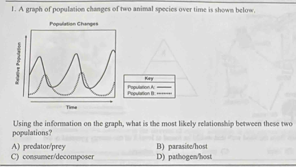 A graph of population changes of two animal species over time is shown below,
Key
Population A:_
Population B:_
Using the information on the graph, what is the most likely relationship between these two
populations?
A) predator/prey B) parasite/host
C) consumer/decomposer D) pathogen/host