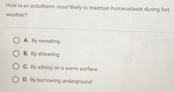 How is an ectotherm most likely to maintain homeostasis during hot
weather?
A. By sweating
B. By shivering
C. By sitting on a warm surface
D. By burrowing underground