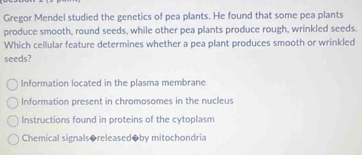 Gregor Mendel studied the genetics of pea plants. He found that some pea plants
produce smooth, round seeds, while other pea plants produce rough, wrinkled seeds.
Which cellular feature determines whether a pea plant produces smooth or wrinkled
seeds?
Information located in the plasma membrane
Information present in chromosomes in the nucleus
Instructions found in proteins of the cytoplasm
Chemical signals◆released◆by mitochondria