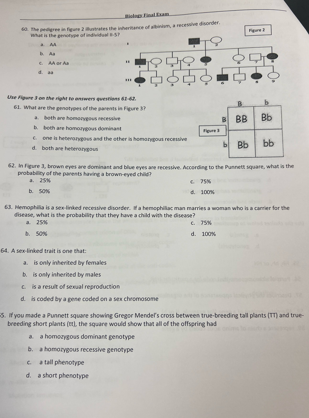 Biology Final Exam
60. The pedigree in figure 2 illustrates th of albinism, a recessive disorder.
What is the genotype of individual II
a. AA
b. Aa
c. AA or Aa
d. aa
Use Figure 3 on the right to answers questions 61-62.
61. What are the genotypes of the parents in Figure 3?
a. both are homozygous recessive
b. both are homozygous dominant F
c. one is heterozygous and the other is homozygous recessive
d. both are heterozygous
62. In Figure 3, brown eyes are dominant and blue eyes are recessive. According to the Punnett square, what is the
probability of the parents having a brown-eyed child?
a. 25% c. 75%
b. 50% d. 100%
63. Hemophilia is a sex-linked recessive disorder. If a hemophiliac man marries a woman who is a carrier for the
disease, what is the probability that they have a child with the disease?
a. 25% c. 75%
b. 50% d. 100%
64. A sex-linked trait is one that:
a. is only inherited by females
b. is only inherited by males
c. is a result of sexual reproduction
d. is coded by a gene coded on a sex chromosome
55. If you made a Punnett square showing Gregor Mendel’s cross between true-breeding tall plants (TT) and true-
breeding short plants (tt), the square would show that all of the offspring had
a. a homozygous dominant genotype
b. a homozygous recessive genotype
c. a tall phenotype
d. a short phenotype