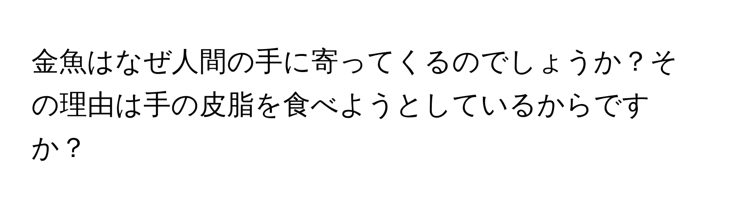 金魚はなぜ人間の手に寄ってくるのでしょうか？その理由は手の皮脂を食べようとしているからですか？