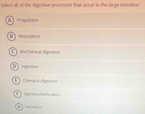 Select all of the digestive processes that occur in the large intestine:
A Propulsion
B Absorption
C Mechanical digestion
D Ingestion
E Chemical digestion
F Egestion/Defecation
G Secretion