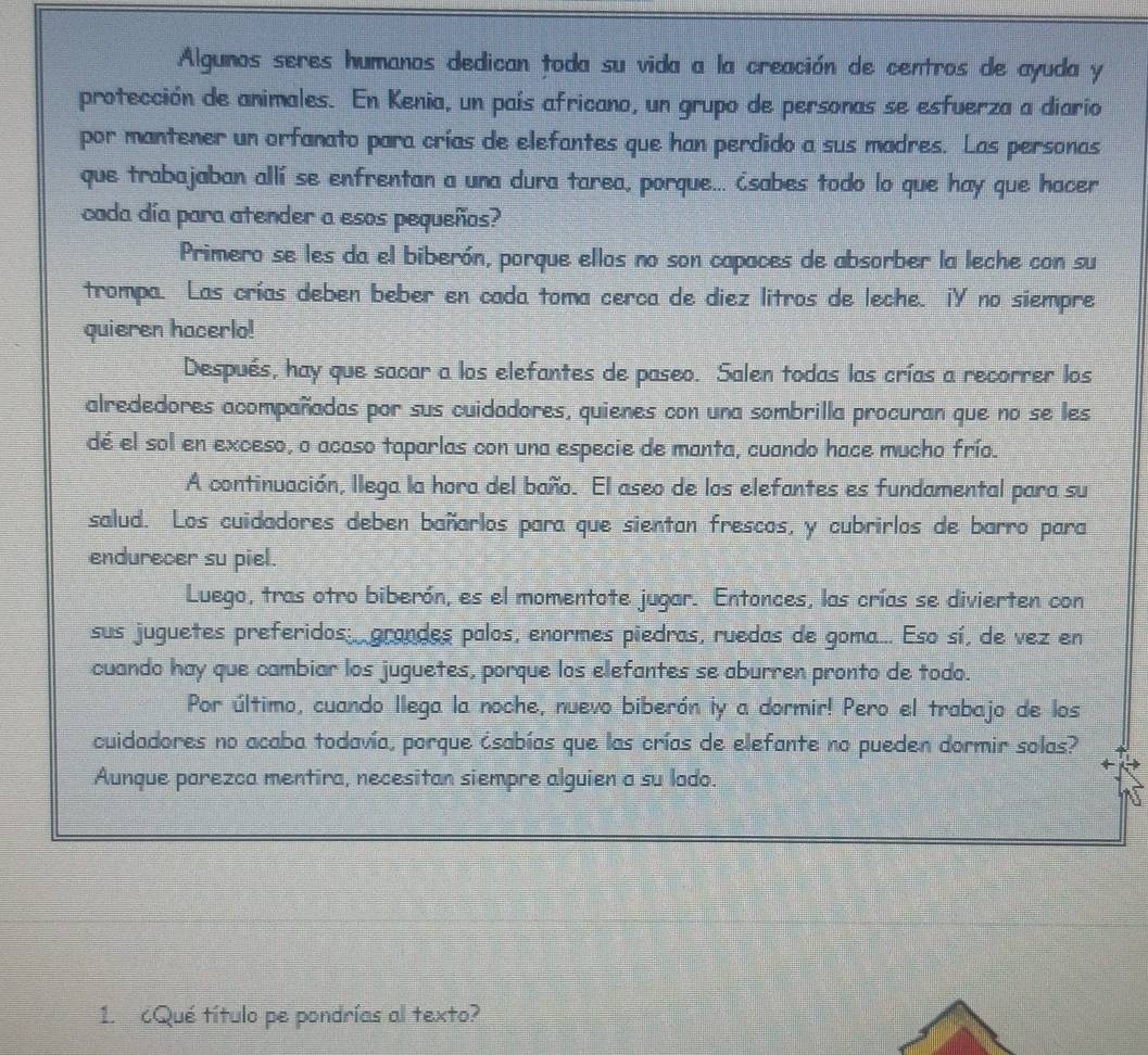 Algunos seres humanos dedican toda su vida a la creación de centros de ayuda y
protección de animales. En Kenia, un país africano, un grupo de personas se esfuerza a diario
por mantener un orfanato para crías de elefantes que han perdido a sus madres. Las personas
que trabajaban allí se enfrentan a una dura tarea, porque... ¿sabes todo lo que hay que hacer
coda día para atender a esos pequeños?
Primero se les da el biberón, porque ellos no son capaces de absorber la leche con su
trompa. Las crías deben beber en cada toma cerca de diez litros de leche. iY no siempre
quieren hacerlo!
Después, hay que sacar a los elefantes de paseo. Salen todas las crías a recorrer los
alrededores acompañadas por sus cuidadores, quienes con una sombrilla procuran que no se les
dé el sol en exceso, o acaso taparlas con una especie de manta, cuando hace mucho frío.
A continuación, llega la hora del baño. El aseo de los elefantes es fundamental para su
salud. Los cuidadores deben bañarlos para que sientan frescos, y cubrirlos de barro para
endurecer su piel.
Luego, tras otro biberón, es el momentote jugar. Entonces, las crías se divierten con
sus juguetes preferidos. grandes polos, enormes piedras, ruedas de goma... Eso sí, de vez en
cuando hay que cambiar los juguetes, porque los elefantes se aburren pronto de todo.
Por último, cuando llega la noche, nuevo biberón iy a dormir! Pero el trabajo de los
cuidadores no acaba todavía, porque ásabías que las crías de elefante no pueden dormir solas?
Aunque parezca mentira, necesitan siempre alguien a su lodo.
1. Qué título pe pondrías al texto?