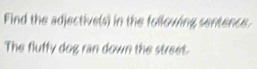 Find the adjective(s) in the following sentence. 
The fluffy dog ran down the street