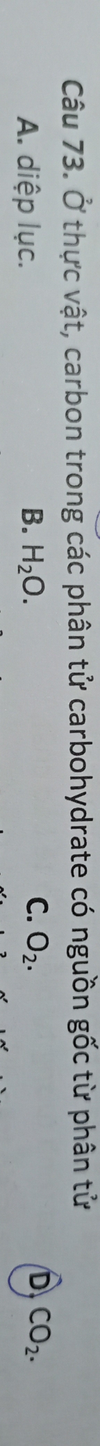 Ở thực vật, carbon trong các phân tử carbohydrate có nguồn gốc từ phân tử
A. diệp lục. B. H_2O. C. O_2.
D CO_2.