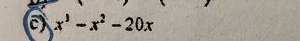 x^3-x^2-20x