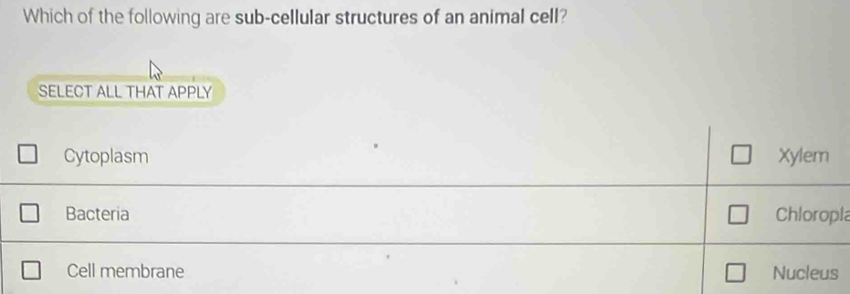 Which of the following are sub-cellular structures of an animal cell?
SELECT ALL THAT APPLY
Cytoplasm Xylem
Bacteria Chloropia
Cell membrane Nucleus