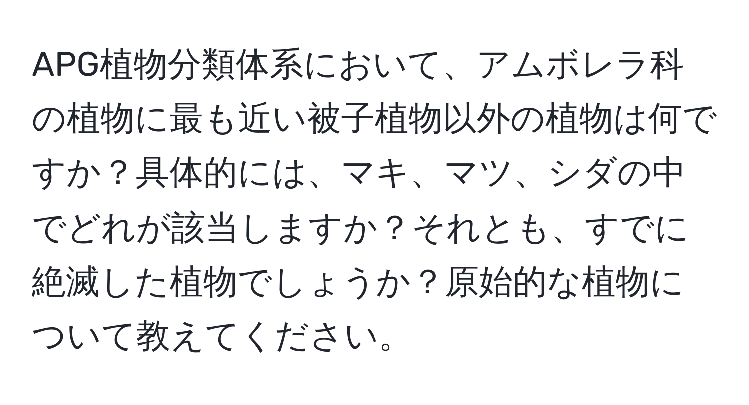 APG植物分類体系において、アムボレラ科の植物に最も近い被子植物以外の植物は何ですか？具体的には、マキ、マツ、シダの中でどれが該当しますか？それとも、すでに絶滅した植物でしょうか？原始的な植物について教えてください。