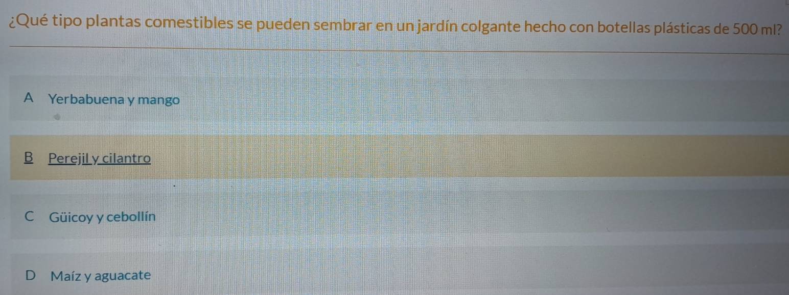 ¿Qué tipo plantas comestibles se pueden sembrar en un jardín colgante hecho con botellas plásticas de 500 ml?
A Yerbabuena y mango
B Perejil y cilantro
C Güicoy y cebollín
Maíz y aguacate