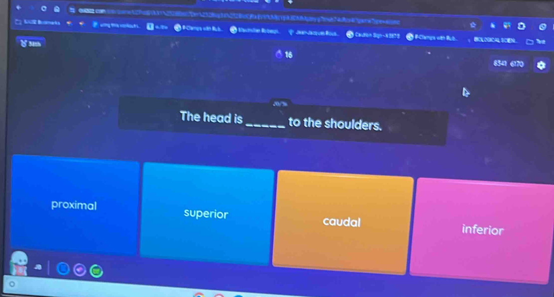 ó ma 4 a
Gng t na h #Clança «ãn J J Rs. 
#Clampa «th Bu t BCLOGICAL SCE
3tts
16
8341 6170
The head is_ to the shoulders.
proximal superior caudal
inferior