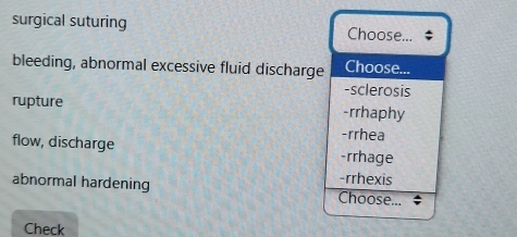 surgical suturing Choose... $
bleeding, abnormal excessive fluid discharge Choose...
-sclerosis
rupture -rrhaphy
flow, discharge
-rrhea
-rrhage
-rrhexis
abnormal hardening Choose...
Check