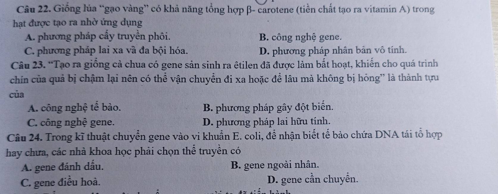 Giống lúa “gạo vàng” có khả năng tổng hợp β - carotene (tiền chất tạo ra vitamin A) trong
hạt được tạo ra nhờ ứng dụng
A. phương pháp cấy truyền phôi. B. công nghệ gene.
C. phương pháp lai xa và đa bội hóa. D. phương pháp nhân bản vô tính.
Câu 23. “Tạo ra giống cả chua có gene sản sinh ra êtilen đã được làm bất hoạt, khiến cho quá trình
chín của quả bị chậm lại nên có thể vận chuyển đi xa hoặc để lâu mà không bị hỏng” là thành tựu
của
A. công nghệ tế bào. B. phương pháp gây đột biển.
C. công nghệ gene. D. phương pháp lai hữu tính.
Câu 24. Trong kĩ thuật chuyển gene vào vi khuẩn E. coli, để nhận biết tế bào chứa DNA tái tổ hợp
hay chưa, các nhà khoa học phải chọn thể truyền có
A. gene đánh dấu. B. gene ngoài nhân.
C. gene điều hoà. D. gene cần chuyển.