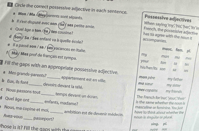 Solved: Circle the correct possessive adjective in each sentence ...