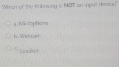 Which of the following is NOT an input device?
a. Microphone
b. Webcam
C Speaker