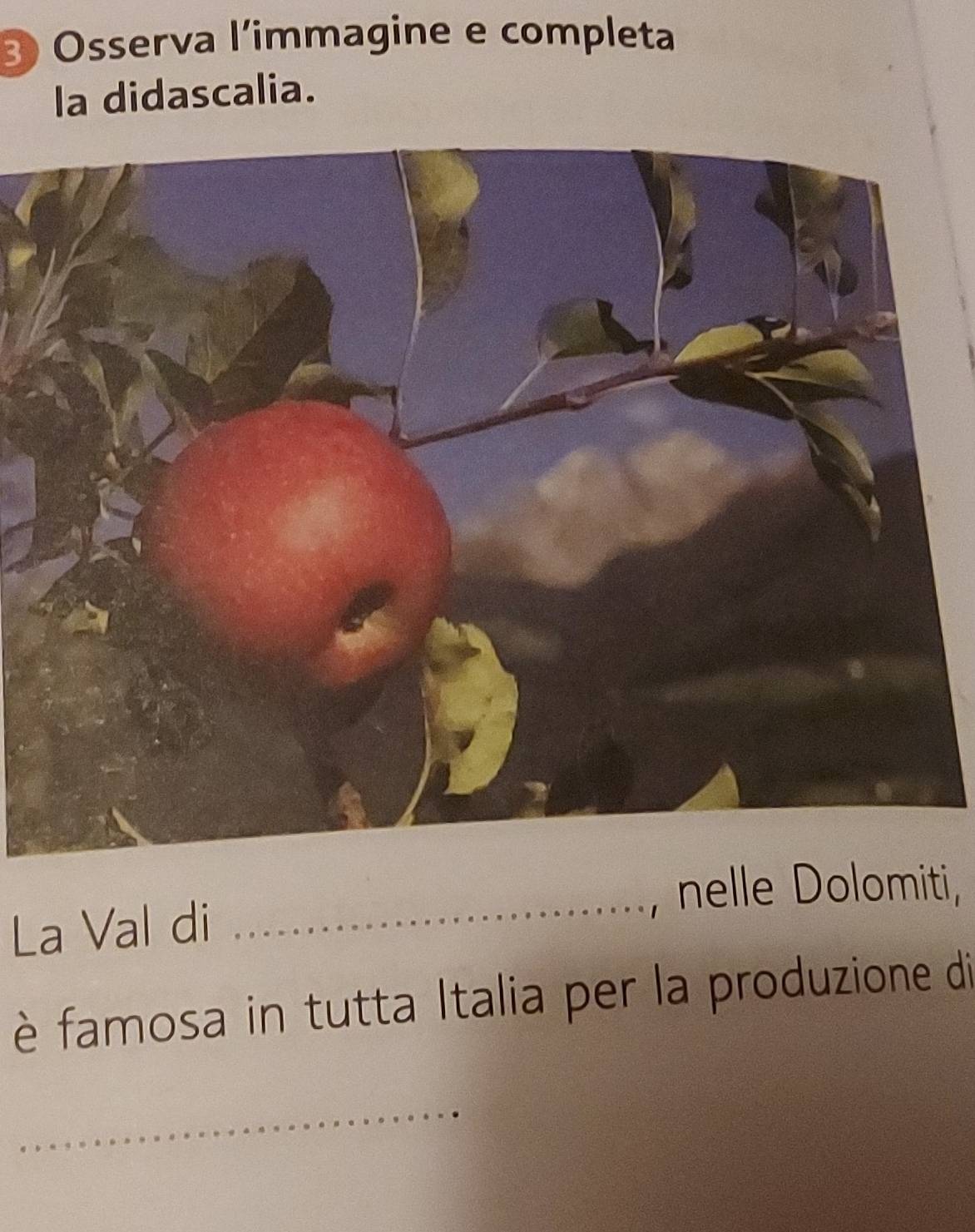 Osserva l'immagine e completa 
la didascalia. 
_nelle Dolomiti, 
La Val di 
è famosa in tutta Italia per la produzione di 
_