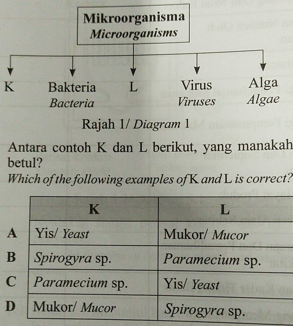 K
Rajah 1/ Diagram 1 
Antara contoh K dan L berikut, yang manakah 
betul? 
Which of the following examples of K and L is correct?