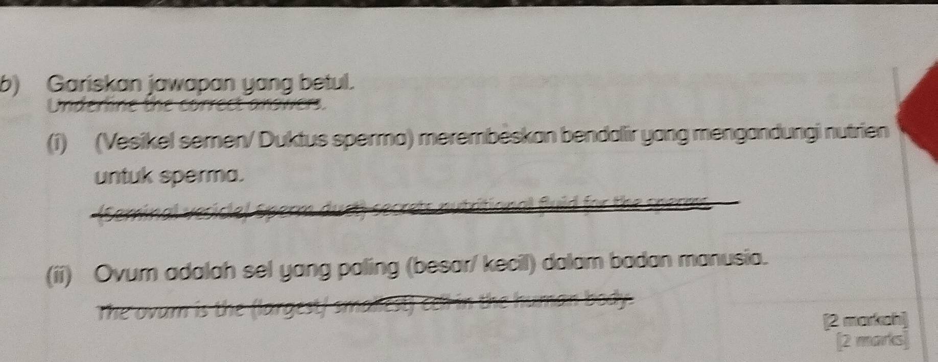 Gariskan jawapan yang betul. 
_ 
(1) (Vesikel semen/ Duktus sperma) merembeskan bendalir yang mengandungi nutrien 
_ 
untuk sperma. 
_ 
(ii) Ovum adalah sel yang paling (besar/ kecil) dalam badan manusia. 
[2 markah] 
[2 marks]