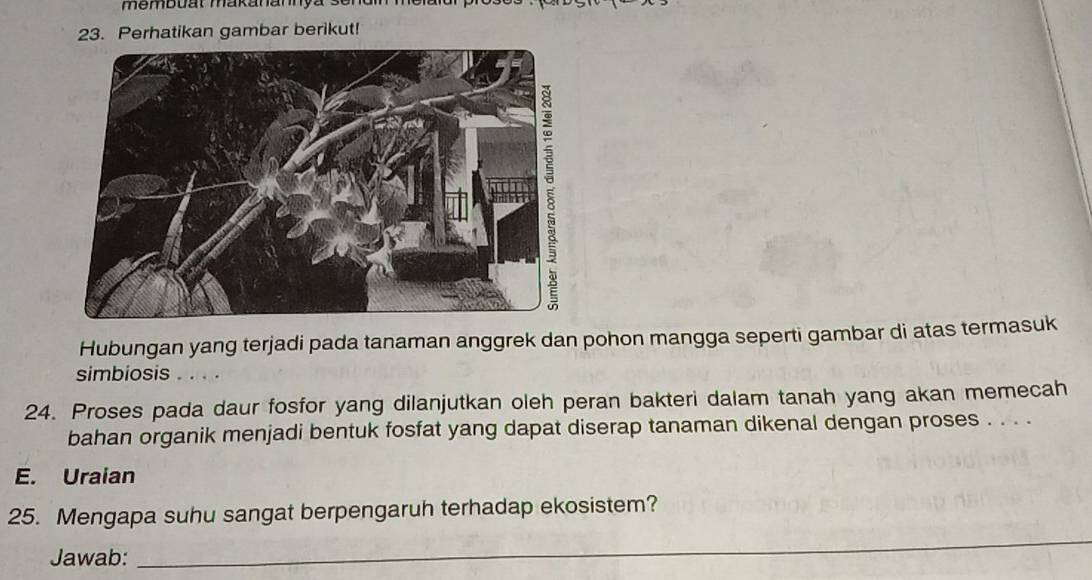 membuat makanamy a s 
23. Perhatikan gambar berikut! 
Hubungan yang terjadi pada tanaman anggrek dan pohon mangga seperti gambar di atas termasuk 
simbiosis .. 
24. Proses pada daur fosfor yang dilanjutkan oleh peran bakteri dalam tanah yang akan memecah 
bahan organik menjadi bentuk fosfat yang dapat diserap tanaman dikenal dengan proses . . . . 
E. Uraian 
_ 
25. Mengapa suhu sangat berpengaruh terhadap ekosistem? 
Jawab: