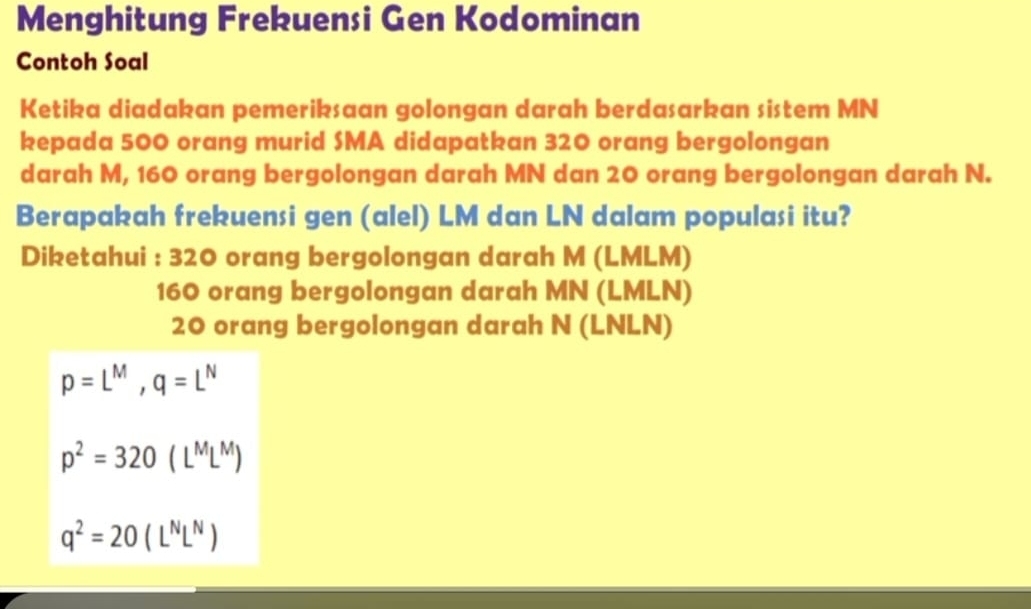 Menghitung Frekuensi Gen Kodominan
Contoh Soal
Ketika diadakan pemeriksaan golongan darah berdasarkan sistem MN
kepada 500 orang murid SMA didapatkan 320 orang bergolongan
darah M, 160 orang bergolongan darah MN dan 20 orang bergolongan darah N.
Berapakah frekuensi gen (alel) LM dan LN dalam populasi itu?
Diketahui : 320 orang bergolongan darah M (LMLM)
160 orang bergolongan darah MN (LMLN)
20 orang bergolongan darah N (LNLN)
p=L^M, q=L^N
p^2=320(L^ML^M)
q^2=20(L^NL^N)