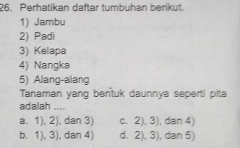 Perhatikan daftar tumbuhan berikut.
1) Jambu
2) Padi
3) Kelapa
4) Nangka
5) Alang-alang
Tanaman yang bentuk daunnya seperti pita
adalah ....
1+
a. 1), ∠ , dan 3) C. 2), 3 , dan 4)
b. 1), 3), , dan 4) d. 2), 3), dan 5)