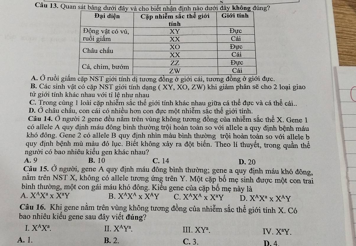 Quan sát bảng dưới bi  dưới đây không đúng?
A. Ở ruồi giấm cặp NST giới tính dị tương đồng ở giới cái, tương đồng ở giới đực.
B. Các sinh vật có cặp NST giới tính dạng ( XY, XO, ZW) khi giảm phân sẽ cho 2 loại giao
tử giới tính khác nhau với tỉ lệ như nhau
C. Trong cùng 1 loài cặp nhiễm sắc thể giới tính khác nhau giữa cá thể đực và cá thể cái..
D. Ở châu chấu, con cái có nhiều hơn con đực một nhiễm sắc thể giới tính.
Câu 14. Ở người 2 gene đều nằm trên vùng không tương đồng của nhiễm sắc thể X. Gene 1
có allele A quy định máu đông bình thường trội hoàn toàn so với allele a quy định bệnh máu
khó đông. Gene 2 có allele B quy định nhìn màu bình thường trội hoàn toàn so với allele b
quy định bệnh mù màu đỏ lục. Biết không xảy ra đột biến. Theo lí thuyết, trong quần thể
người có bao nhiêu kiểu gen khác nhau?
A. 9 B. 10 C. 14 D. 20
Câu 15. Ở người, gene A quy định máu đông bình thường; gene a quy định máu khó đông,
nằm trên NST X, không có allele tương ứng trên Y. Một cặp bố mẹ sinh được một con trai
bình thường, một con gái máu khó đông. Kiểu gene của cặp bố mẹ này là
A. X^AX^a* X^aY B. X^AX^A* X^AY C. X^AX^A* X^aY D. X^AX^a* X^AY
Câu 16. Khi gene nằm trên vùng không tương đồng của nhiễm sắc thể giới tính X. Có
bao nhiêu kiểu gene sau đây viết đúng?
I. X^AX^a. II. X^AY^a. III. XY a IV. X^aY.
A. 1. B. 2. C. 3. D. 4