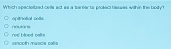 Which spacielizad cells act as a tamear to protact tissees within the body?
opitnolial cois.
ree blood calls amooth muscie palis