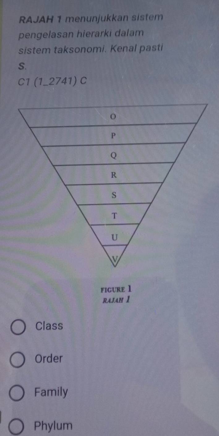 RAJAH 1 menunjukkan sistem
pengelasan hierarki dalam
sistem taksonomi. Kenal pasti
S
C1(1_ 2741)C 
rAjaH 1
Class
Order
Family
Phylum