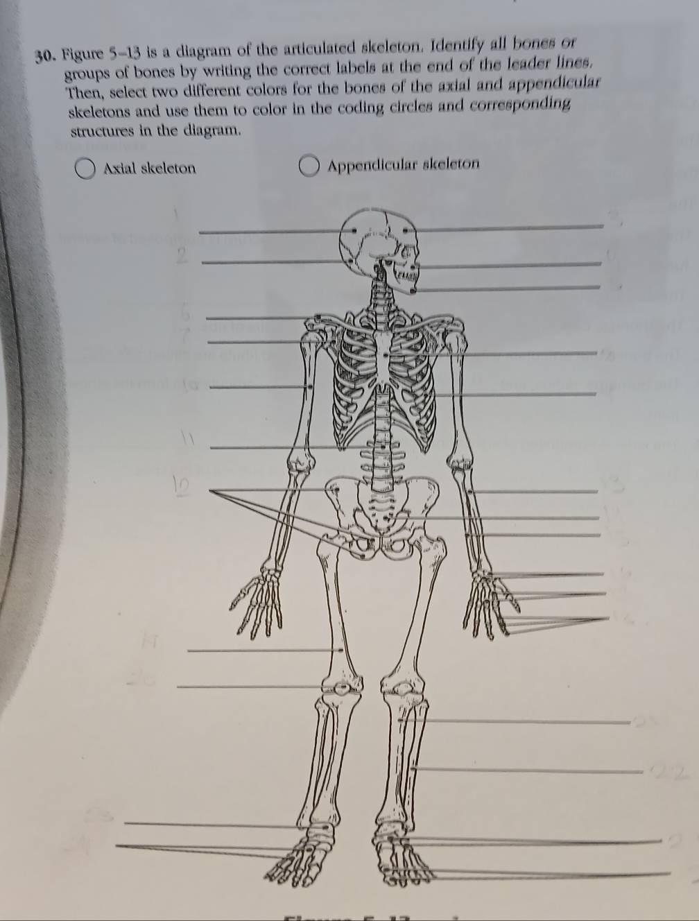 Solved: Figure 5-13 is a diagram of the articulated skeleton. Identify ...